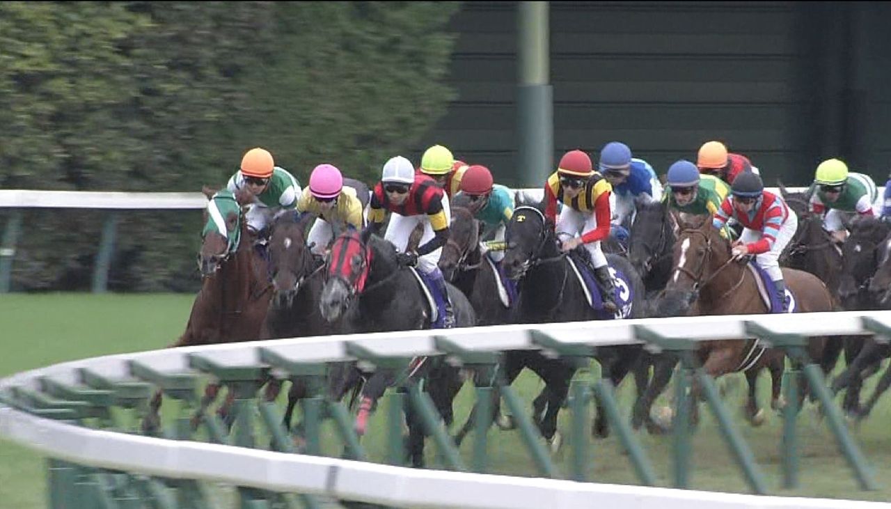 【競馬・中京記念】18番人気メイケイダイハード酒井学ｗｗｗｗｗｗｗｗｗ