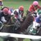 【競馬】東京3Rラグビーボーイwwwwwwww