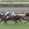 【競馬】セントライト記念の法則　←蛯名←北村宏←蛯名←北村宏←蛯名←善臣
