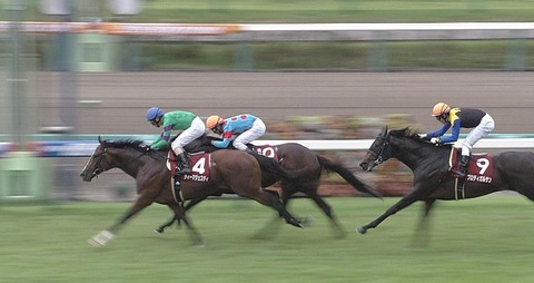 【競馬】2016年皐月賞馬のディーマジェスティが引退、種牡馬入り