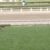 【競馬】菊花賞の秘密兵器?カフジプリンス強すぎワロタwwwwww 【競馬】菊花賞の秘密兵器?カフジプリンス強すぎワロタwwwwww