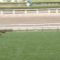 【競馬】福永「51kgまで絞るのでカフジプリンス乗せてください」矢作「わかった」