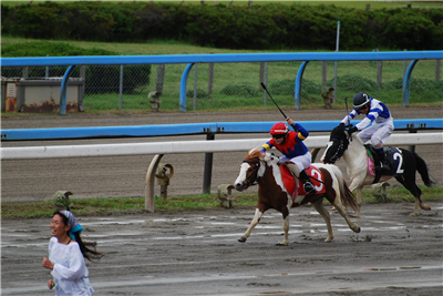 【競馬】[画像] ドゥラメンテにメガネをぶっ飛ばされる堀調教より面白い画像を貼ったやつが神