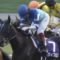 【競馬】17最優秀4歳牝馬ヴィブロス　福永の手戻らず内田で中山記念へ