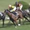 【競馬】デュプレシスとかいう下手くそ外国人騎手