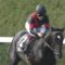 【競馬】サマージョッキーズ、福永が2回目の優勝（史上初）。デムーロはポイント1位なのに未勝利で優勝できず…