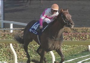 【競馬】モーニンが初芝、フルーキーが初ダート出走 【競馬】モーニンが初芝、フルーキーが初ダート出走