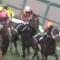 【競馬】キャンベルジュニア福永「今日は内枠がアダになりました。力は上の馬なのですが・・・」