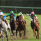 【競馬/スプリングS】松岡正海「藤田菜七子が下手くそなだけだろｗ」