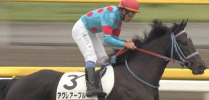 【競馬】シルクの1歳馬募集ラインナップが凄すぎるｗｗｗｗｗｗｗｗｗｗｗｗｗ