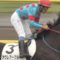 【競馬】シルクの1歳馬募集ラインナップが凄すぎるｗｗｗｗｗｗｗｗｗｗｗｗｗ