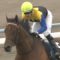 【競馬・京都大賞典】マカヒキ復活ｗｗｗｗｗｗｗｗｗｗｗｗｗｗｗｗｗｗｗ