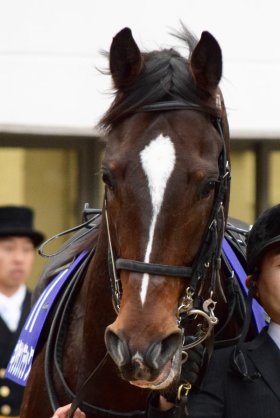 【競馬】武豊「キタサンブラックは日本馬の大将格だと思っている」