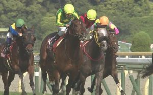 【競馬/香港マイル】池江「サトノアラジンは早くお父さんになりたいのかな」