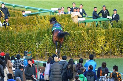 【競馬】[画像] ドゥラメンテにメガネをぶっ飛ばされる堀調教より面白い画像を貼ったやつが神