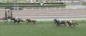 【競馬】カフジプリンスとは何だったのか