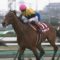 【競馬】今年のダービー金子まさかの４頭出し
