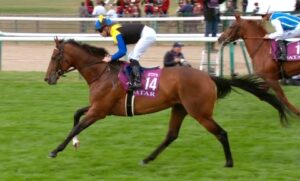 【競馬】マカヒキ､鞍上内田で毎日王冠→天皇賞･秋へ