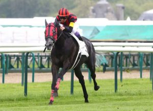 【競馬】欧州メディア「エイシンヒカリは弱い。レーティングは下方修正すべき」