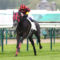 【競馬】で、イスパーン賞のレベルって日本のどのレースくらい？