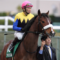 【競馬】アパパネの初の牝馬「アカイトリノムスメ」