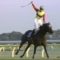 【競馬】それでもエイシンヒカリはエルコンドルパサーより弱い(震え声)
