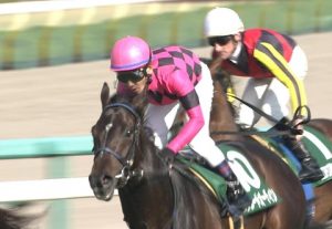 【競馬/京都新聞杯】スマートオーディンの楽そうなレースばっか選ぶ乞食路線