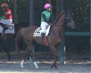 【競馬】中山12Ｒキングクリチャン　藤田 菜七子