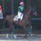 【競馬】中山12Ｒキングクリチャン　藤田 菜七子