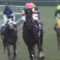 【競馬/ダービー】リオンディーズが買いにくい