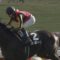 【競馬】バティスティーニが超絶駄馬化して帰ってきた件