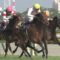 【競馬/有馬記念】ミッキークイーンで勝負しょうと思うが。