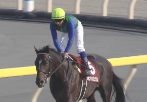 【競馬】ヴァンキッシュランとかスマートオーディンって今何してるの？