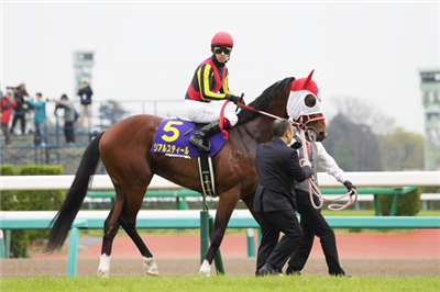 【競馬】リアルスティール、鞍上Ｍデムーロで復帰戦の毎日王冠に挑む