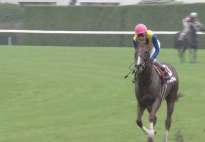 【競馬】ダービーどれが勝ったら一番盛り上がるか 【競馬】ダービーどれが勝ったら一番盛り上がるか