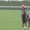 【競馬】ダービーどれが勝ったら一番盛り上がるか