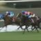 【競馬】武豊の弥生賞の成績wwww