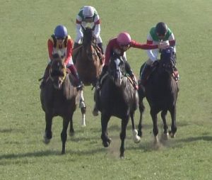 【競馬】たかたがＧⅡごときでガッツポーズしたバカ