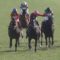 【競馬】たかたがＧⅡごときでガッツポーズしたバカ