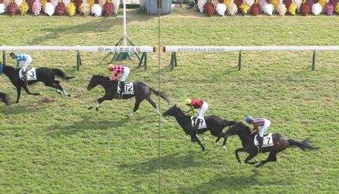 フォイヤーヴェルク 2歳新馬 13着