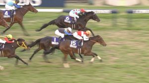 【競馬】ラストインパクト　引退