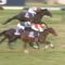 【競馬】ラストインパクト　引退