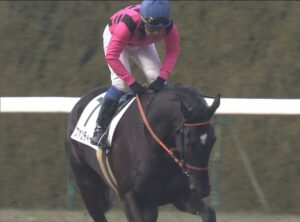 【競馬】ファンディーナ引退で高野師ショック「後悔の感情が心の奥底にずっと残りそうです。本当に申し訳ない」