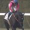 【競馬/秋華賞】正直ファンディーナってどう思う？