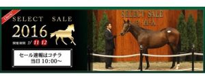 【競馬】SELECT SALE2016 7/11.12ノーザンホースパーク