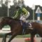 【競馬】2018年の金鯱賞がスーパーG2になりそう！！