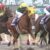 【競馬】サウンドトゥルー完全復活！大井金盃で8馬身差圧勝