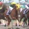 【競馬】2/5(水) 大井11R 第64回 金盃（ＳII）発走時刻 16:10