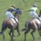 【競馬】ルメールはやっぱり偉大だった