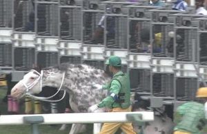 【競馬】ルメール全レース乗り替り 【競馬】ルメール全レース乗り替り